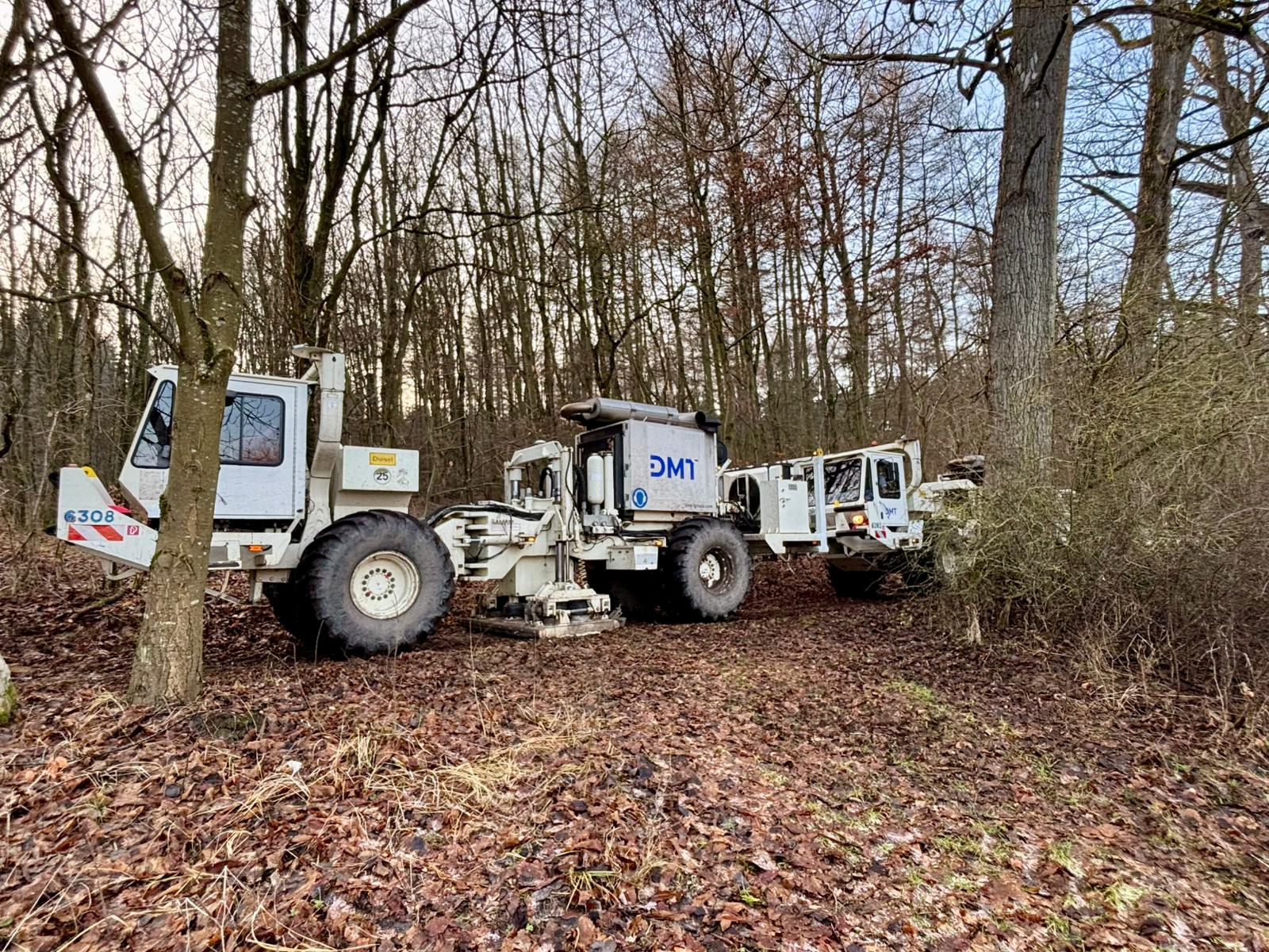 202502 - Seismic 3D - Brimir